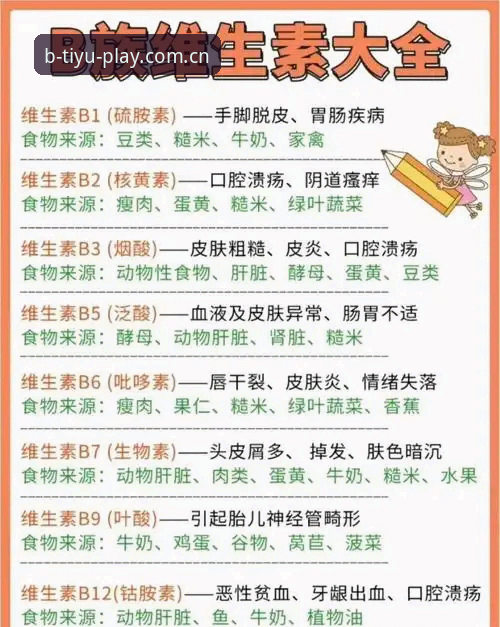 B体育官方地址 B体育官方地址全面解析:从入口选择到体验升级的创新指南